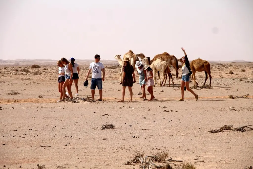 Explore Desert Excursions in Dakhla with Hotel Moukawama